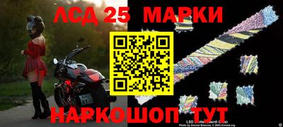 a pvp Сланцы