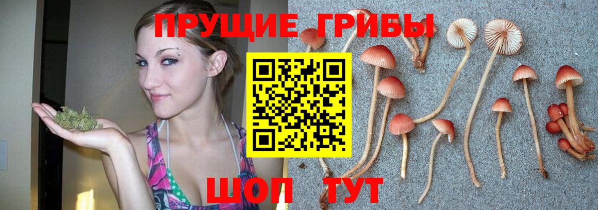 Псилоцибиновые грибы прущие грибы Новосибирск