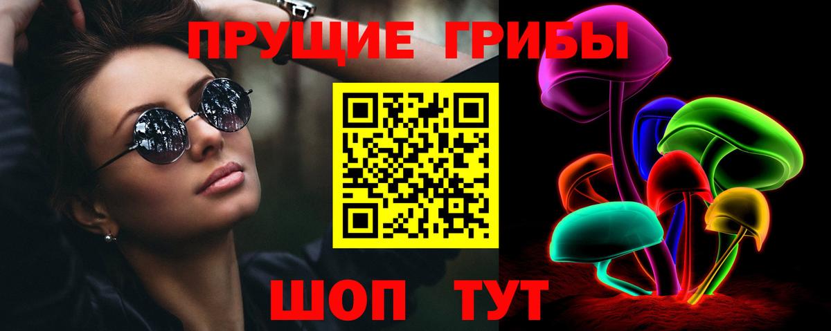 Псилоцибиновые грибы Psilocybine cubensis  Вход с VPN  Новосибирск 